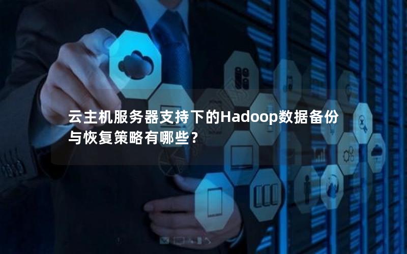 云主机服务器支持下的Hadoop数据备份与恢复策略有哪些？