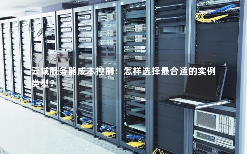 云域服务器成本控制：怎样选择最合适的实例类型？