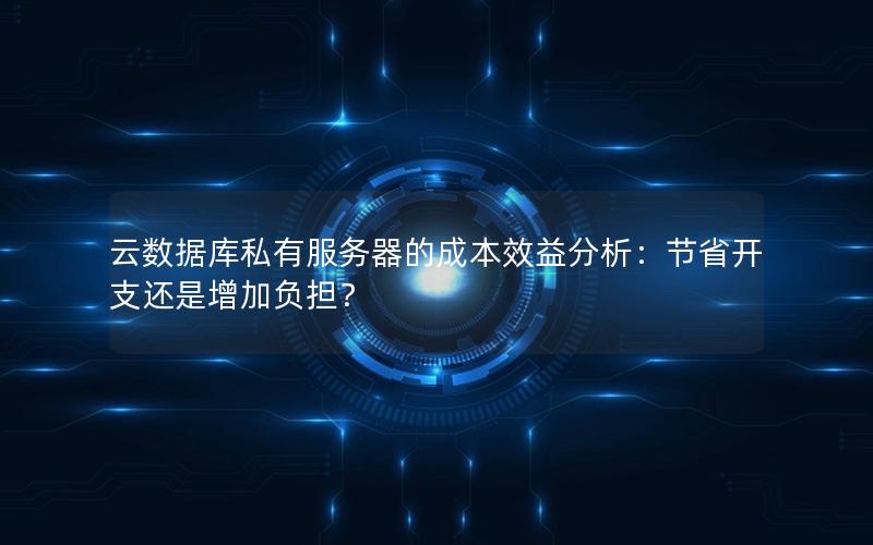云数据库私有服务器的成本效益分析：节省开支还是增加负担？