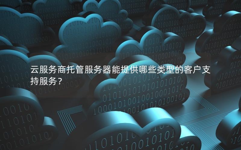 云服务商托管服务器能提供哪些类型的客户支持服务？