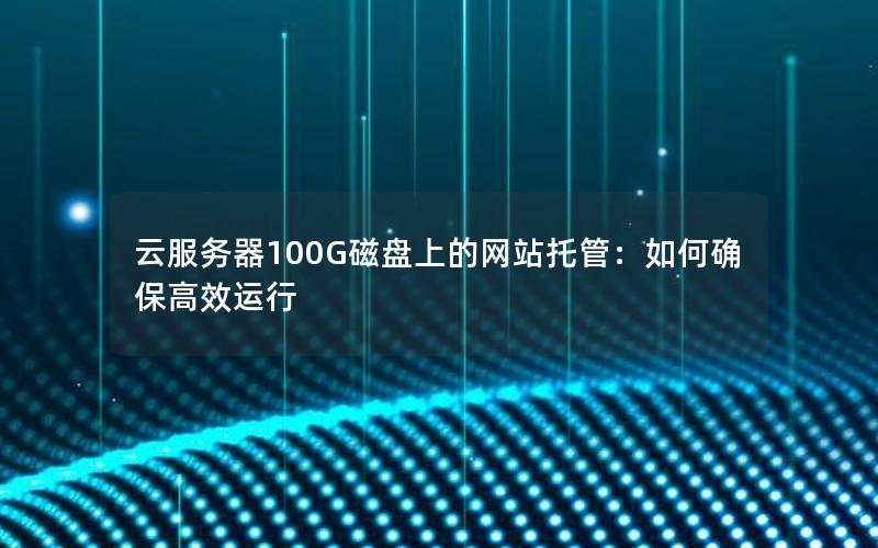 云服务器100G磁盘上的网站托管：如何确保高效运行