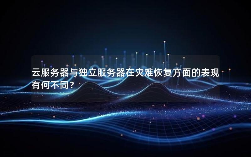 云服务器与独立服务器在灾难恢复方面的表现有何不同？