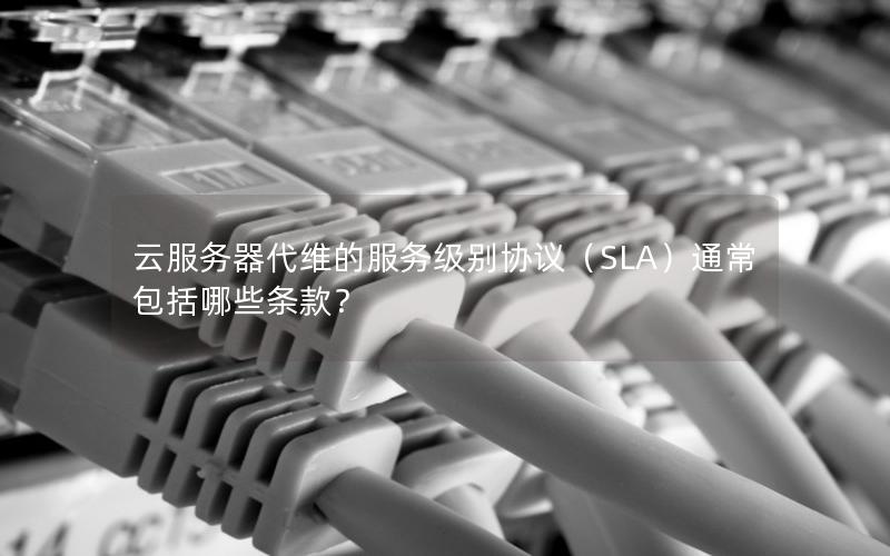 云服务器代维的服务级别协议（SLA）通常包括哪些条款？