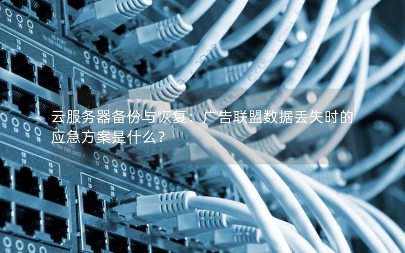 云服务器备份与恢复：广告联盟数据丢失时的应急方案是什么？