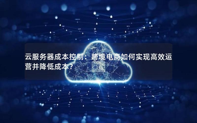 云服务器成本控制：跨境电商如何实现高效运营并降低成本？