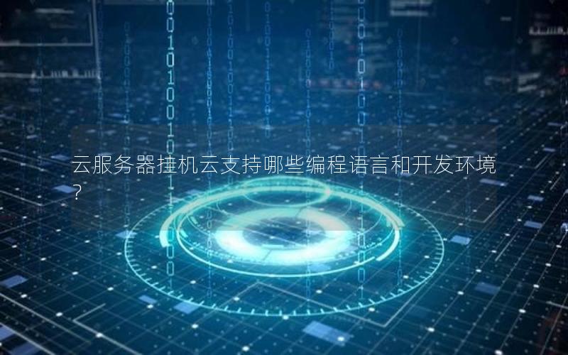云服务器挂机云支持哪些编程语言和开发环境？