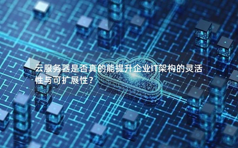 云服务器是否真的能提升企业IT架构的灵活性与可扩展性？
