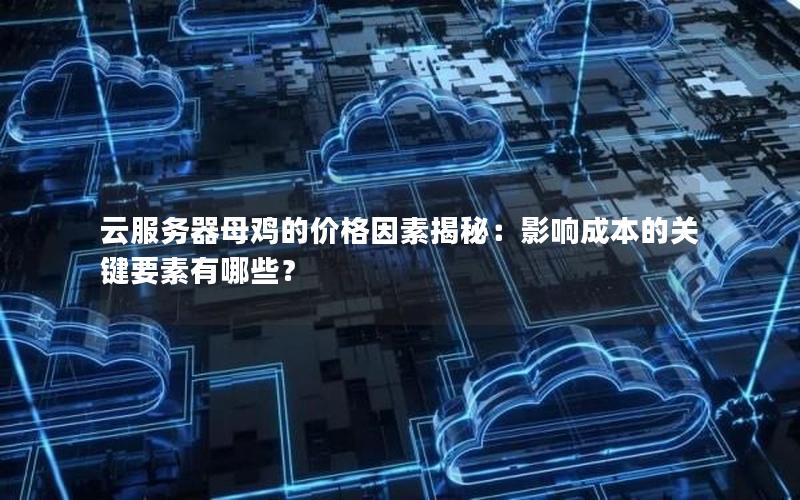 云服务器母鸡的价格因素揭秘：影响成本的关键要素有哪些？