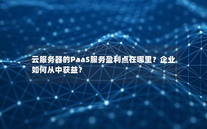 云服务器的PaaS服务盈利点在哪里？企业如何从中获益？