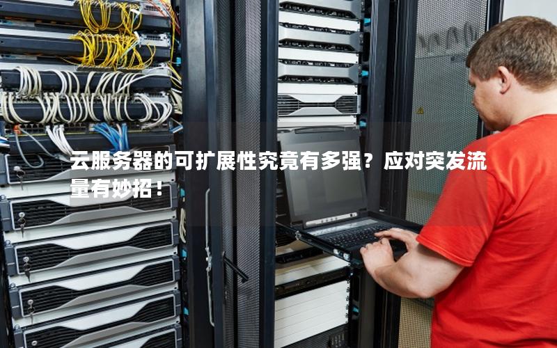 云服务器的可扩展性究竟有多强？应对突发流量有妙招！