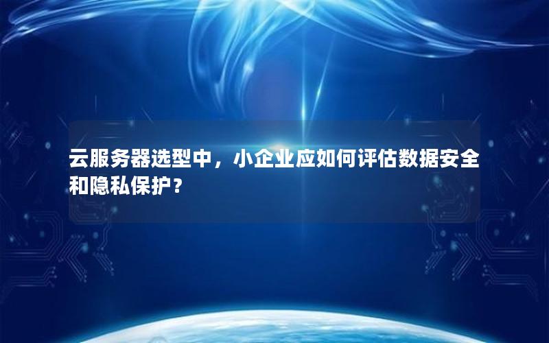 云服务器选型中，小企业应如何评估数据安全和隐私保护？