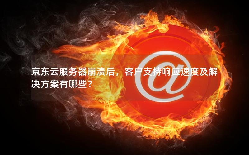 京东云服务器崩溃后，客户支持响应速度及解决方案有哪些？