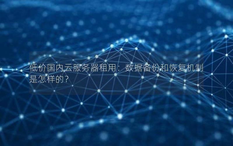低价国内云服务器租用：数据备份和恢复机制是怎样的？