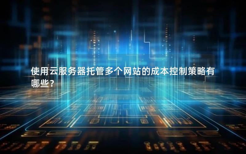 使用云服务器托管多个网站的成本控制策略有哪些？