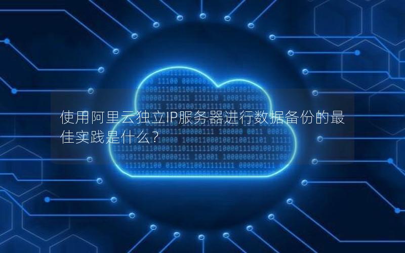 使用阿里云独立IP服务器进行数据备份的最佳实践是什么？