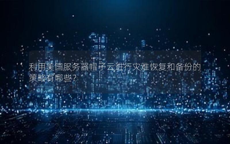 利用美国服务器帽子云进行灾难恢复和备份的策略有哪些？