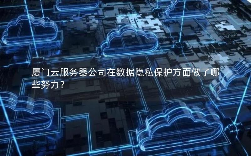 厦门云服务器公司在数据隐私保护方面做了哪些努力？