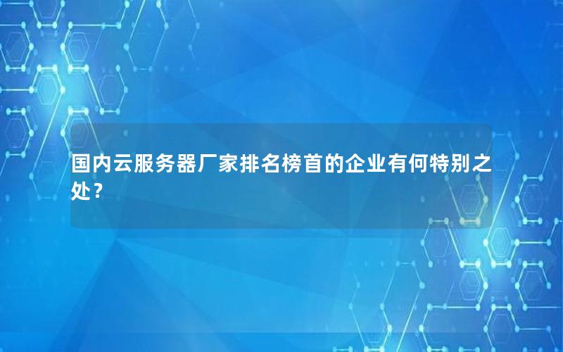 国内云服务器厂家排名榜首的企业有何特别之处？