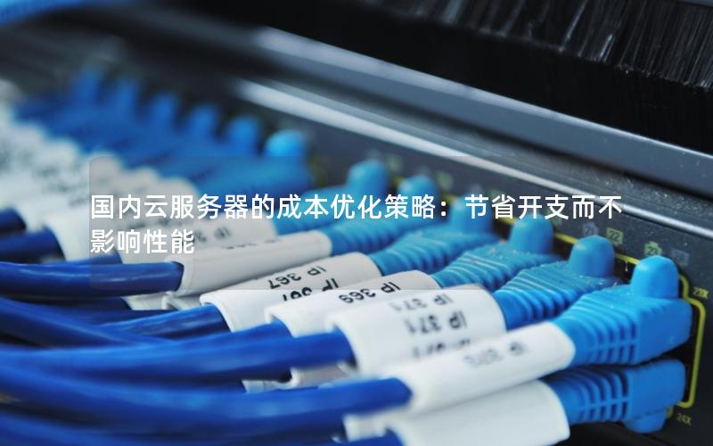 国内云服务器的成本优化策略：节省开支而不影响性能