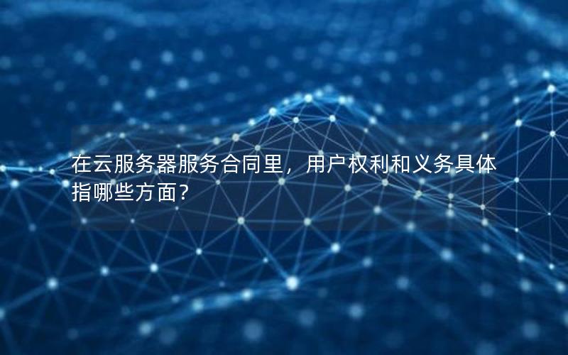 在云服务器服务合同里，用户权利和义务具体指哪些方面？
