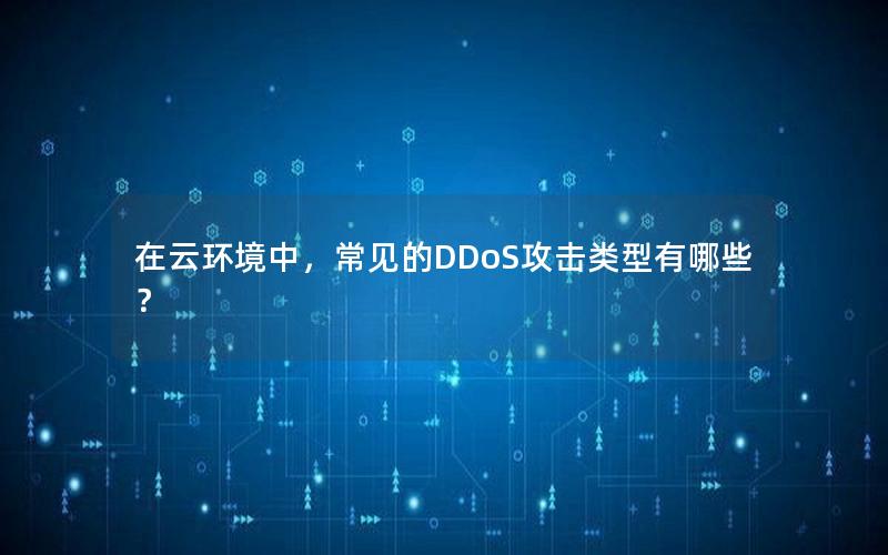 在云环境中，常见的DDoS攻击类型有哪些？