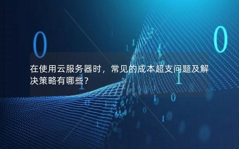 在使用云服务器时，常见的成本超支问题及解决策略有哪些？
