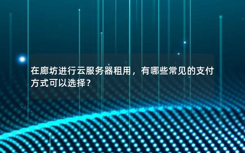 在廊坊进行云服务器租用，有哪些常见的支付方式可以选择？