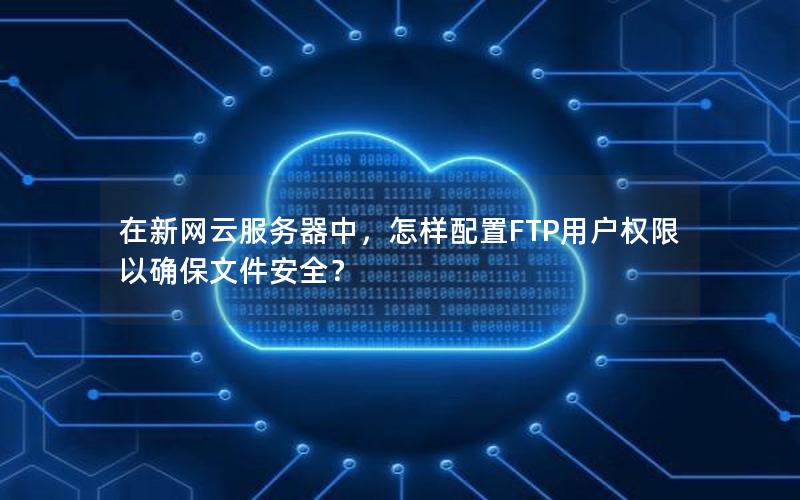 在新网云服务器中，怎样配置FTP用户权限以确保文件安全？