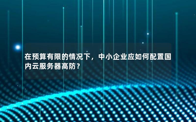 在预算有限的情况下，中小企业应如何配置国内云服务器高防？