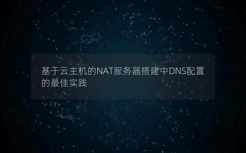 基于云主机的NAT服务器搭建中DNS配置的最佳实践