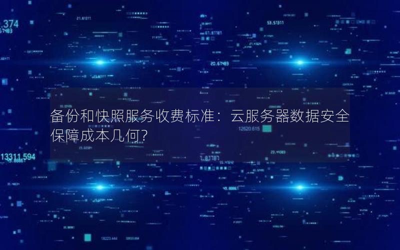 备份和快照服务收费标准：云服务器数据安全保障成本几何？