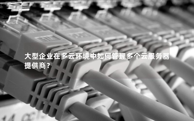 大型企业在多云环境中如何管理多个云服务器提供商？