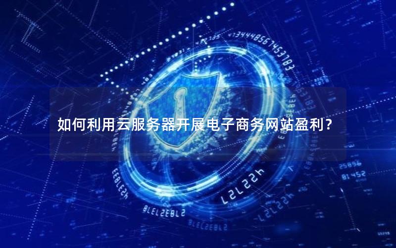 如何利用云服务器开展电子商务网站盈利？