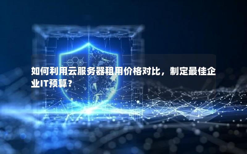 如何利用云服务器租用价格对比，制定最佳企业IT预算？