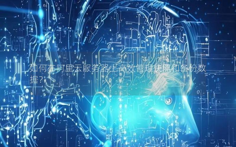 如何在阿里云服务器上高效管理快照和备份数据？
