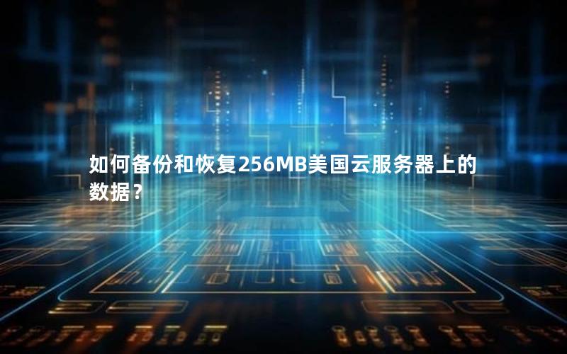 如何备份和恢复256MB美国云服务器上的数据？