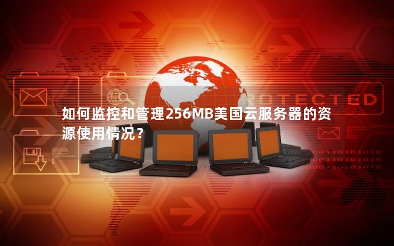 如何监控和管理256MB美国云服务器的资源使用情况？