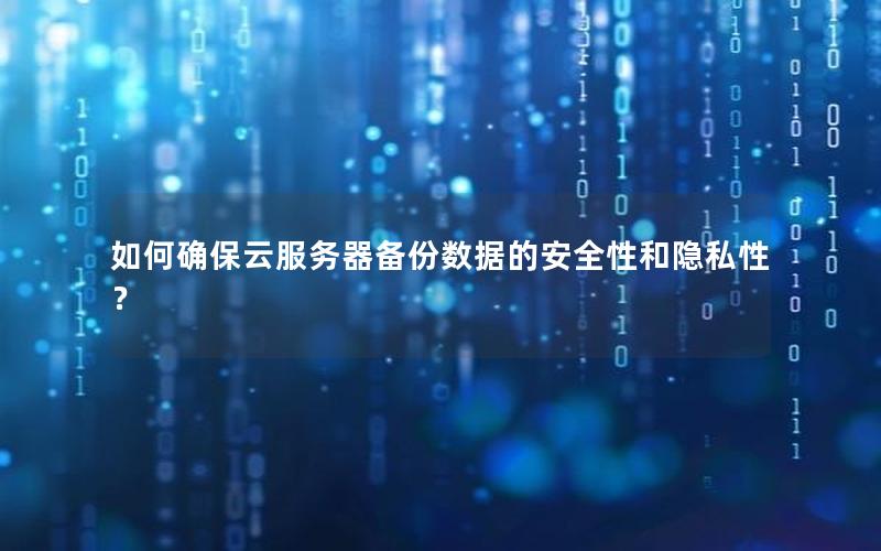 如何确保云服务器备份数据的安全性和隐私性？