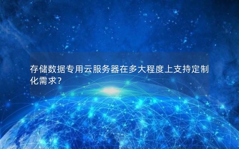 存储数据专用云服务器在多大程度上支持定制化需求？