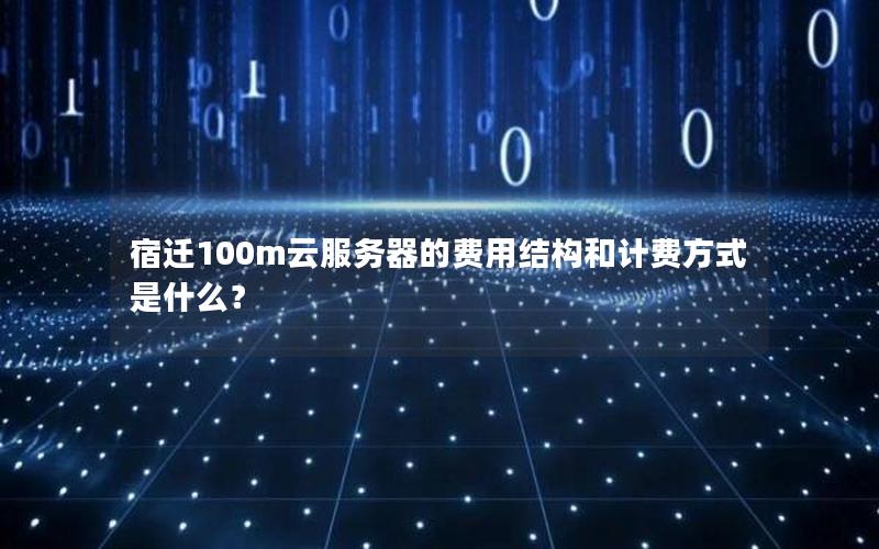 宿迁100m云服务器的费用结构和计费方式是什么？