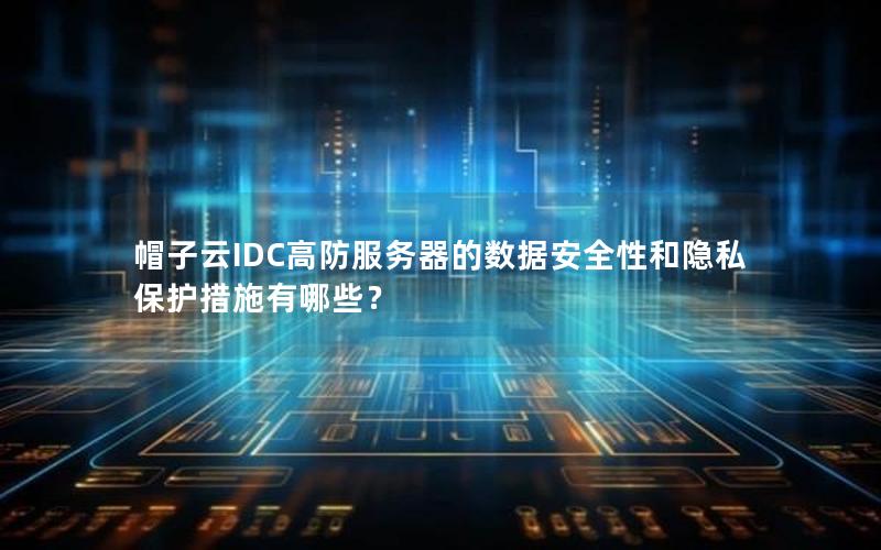 帽子云IDC高防服务器的数据安全性和隐私保护措施有哪些？