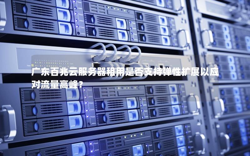 广东百兆云服务器租用是否支持弹性扩展以应对流量高峰？