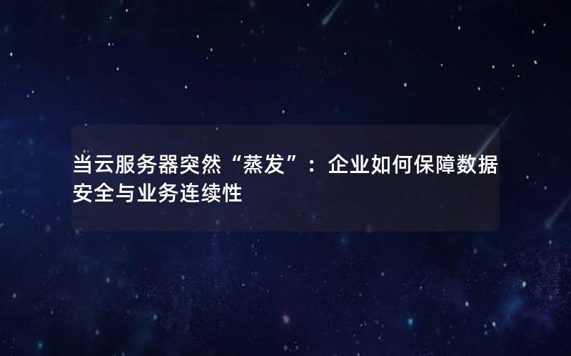 当云服务器突然“蒸发”：企业如何保障数据安全与业务连续性
