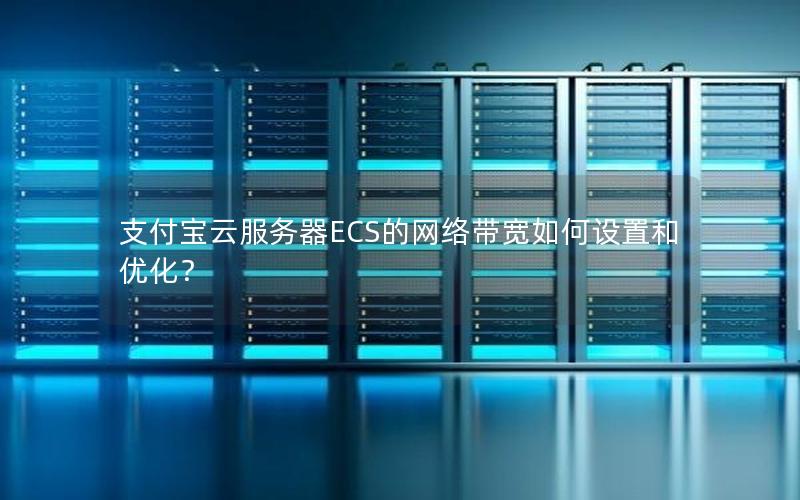 支付宝云服务器ECS的网络带宽如何设置和优化？