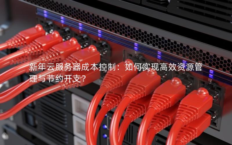 新年云服务器成本控制：如何实现高效资源管理与节约开支？