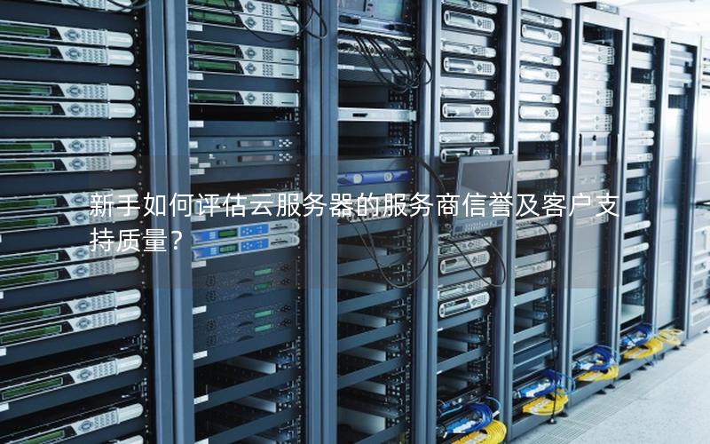 新手如何评估云服务器的服务商信誉及客户支持质量？