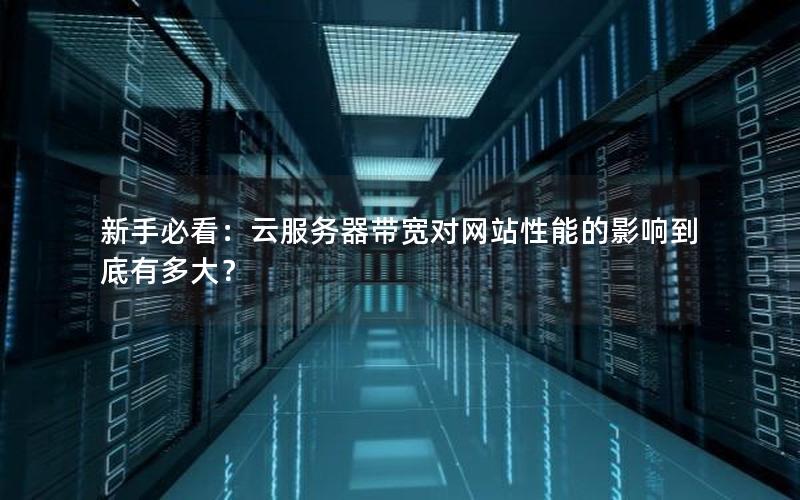 新手必看：云服务器带宽对网站性能的影响到底有多大？