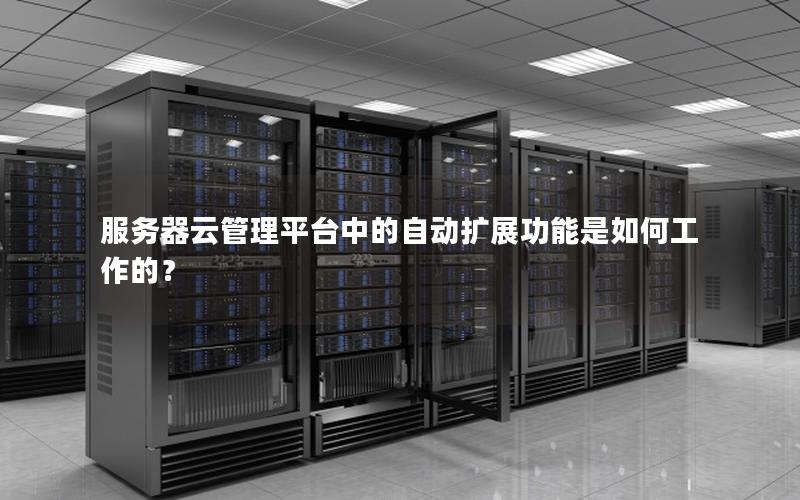 服务器云管理平台中的自动扩展功能是如何工作的？