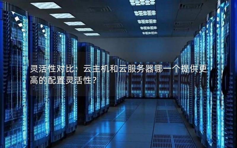 灵活性对比：云主机和云服务器哪一个提供更高的配置灵活性？