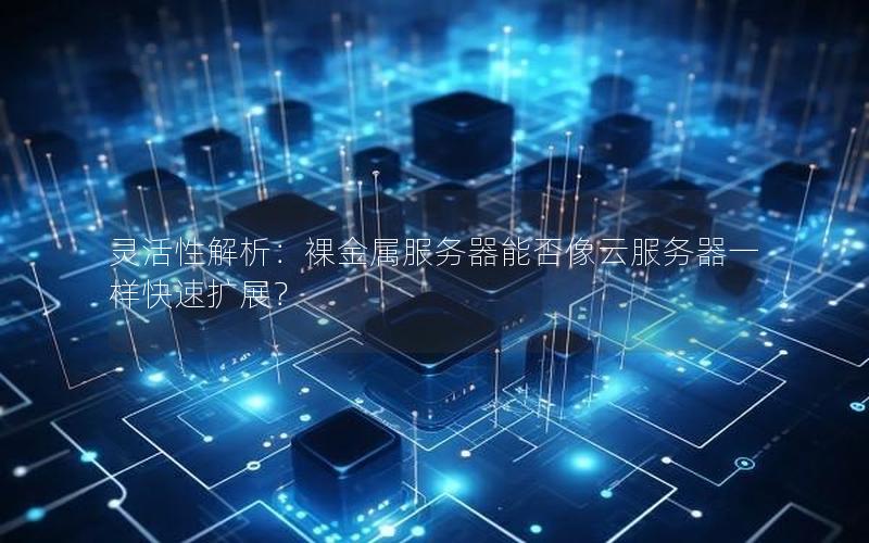 灵活性解析：裸金属服务器能否像云服务器一样快速扩展？